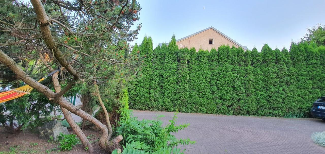 Hotel Vila Rock Palanga Exteriér fotografie